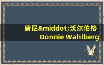 唐尼·沃尔伯格 Donnie Wahlberg